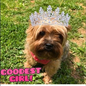 Meet your Posher, Ann